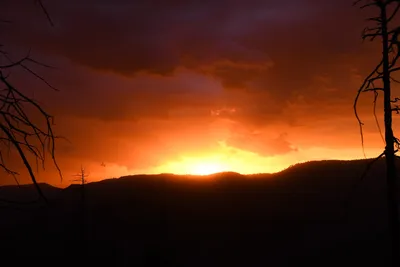 DSC_4573 (Large).JPG